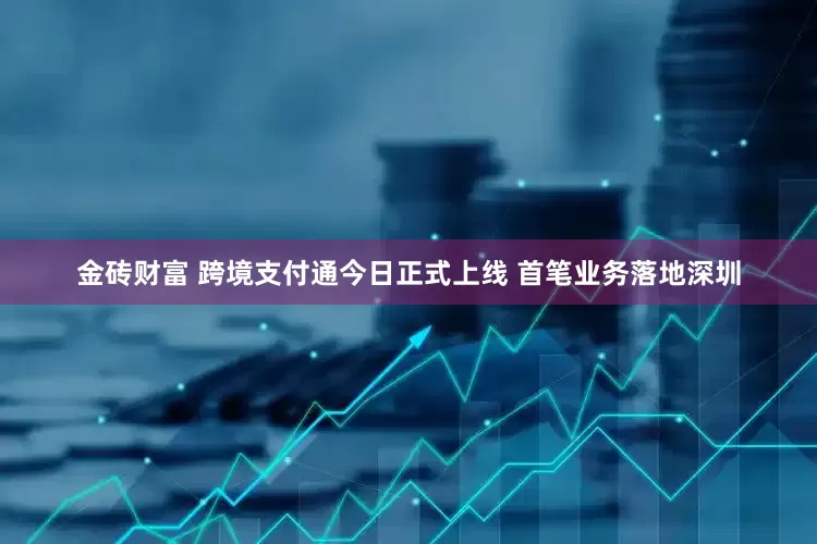 金砖财富 跨境支付通今日正式上线 首笔业务落地深圳