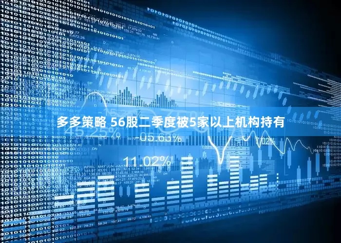 多多策略 56股二季度被5家以上机构持有