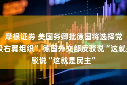 摩根证券 美国务卿批德国将选择党列为“极右翼组织” 德国外交部反驳说“这就是民主”