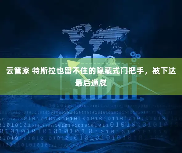 云管家 特斯拉也留不住的隐藏式门把手，被下达最后通牒