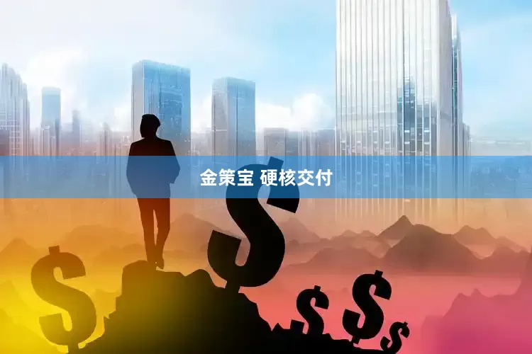 金策宝 硬核交付